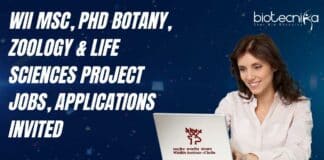 WII Project Jobs Latest