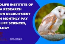 Wildlife Institute of India Research Intern Recruitment With Monthly Pay For Life Sciences, Zoology WII Research Interns 2022