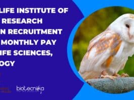 WII Research Interns 2022