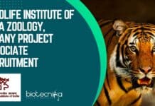 Wildlife Institute of India Zoology, Botany Project Associate Recruitment WII Zoology & Botany Job