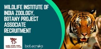 WII Zoology & Botany Job