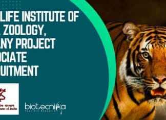 WII Zoology & Botany Job