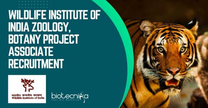 WII Zoology & Botany Job