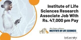 ILS PhD Opening 2022