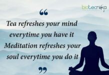 Biotecnika Times Newsletter 04.11.2022 TIFR Exam Application, Paid Internships