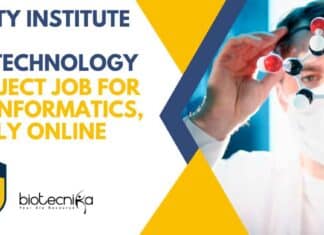 Amity University Bioinformatics Job