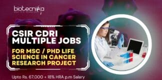 CSIR CDRI Job Openings