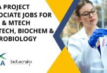CIBA Project Associate Jobs For MSc & MTech Biotech, Biochem & Microbiology CIBA Project Associate Jobs