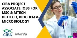 CIBA Project Associate Jobs