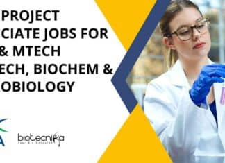 CIBA Project Associate Jobs