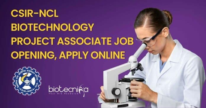 CSIR-NCL Biotechnology Project Associate
