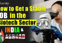 How To Get A Stable Job in Biotech Sector in India & Abroad? Biotech Job Abroad & India - How to Get A Stable Job?