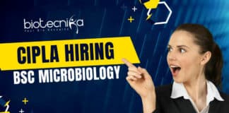 Cipla Bsc Microbiology Job