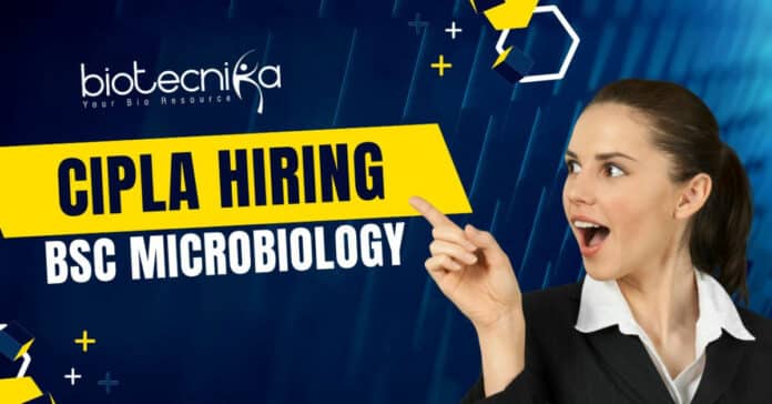Cipla Bsc Microbiology Job