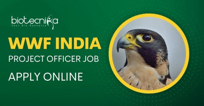 WWF Msc Biology Jobs