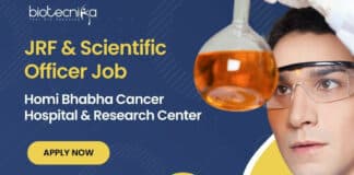 Msc biotech jobs
