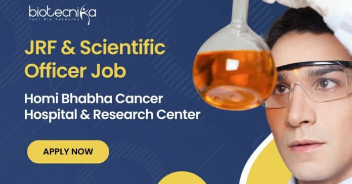 Msc biotech jobs
