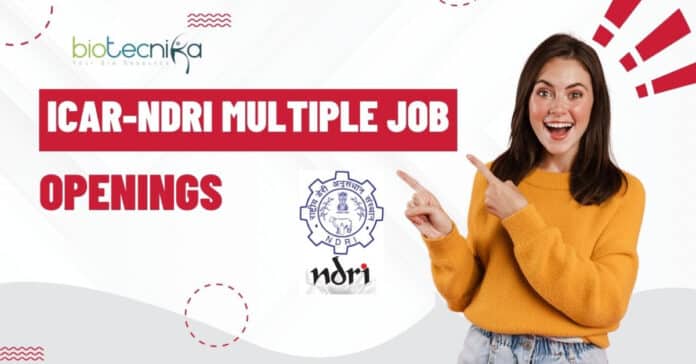ICAR-NDRI Job Opening