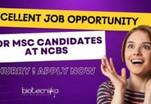 Excellent Job Opportunity For Msc Candidates at NCBS : Non-NET Candidates Can Also Apply NCBS Msc Life Science