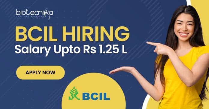 BCIL Biotech Job