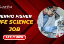 Thermo Fisher Latest Job