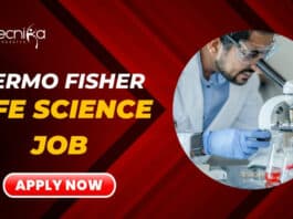 Thermo Fisher Latest Job