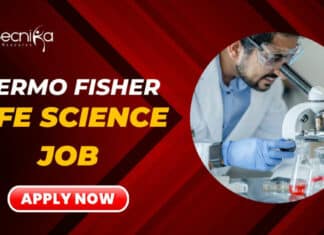 Thermo Fisher Latest Job