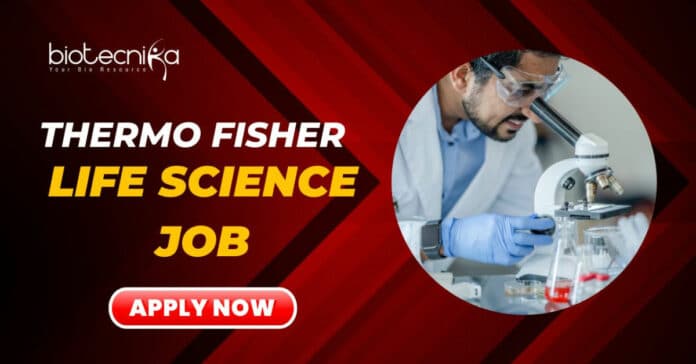 Thermo Fisher Latest Job
