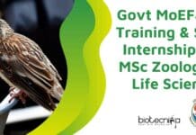 Govt MoEF&CC ZSI Training & Skill Internship For MSc Zoology & Life Sciences Govt MoEF&CC Training