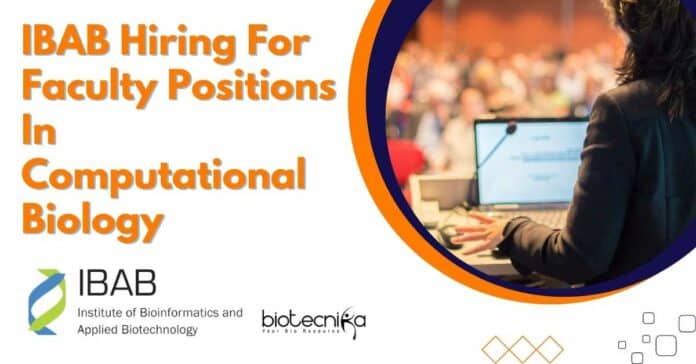 IBAB Hiring For Faculty