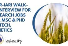ICAR-IARI Walk-In-Interview For Research Jobs For MSc & PhD Biotech, Genetics ICAR-IARI Walk-In-Interview For Research Jobs