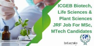ICGEB Biotech