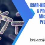 ICMR-NIE BSc, MSc & PhD Biotech, Microbiology Project Jobs ICMR NIE Project Jobs 2022