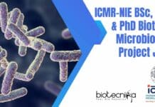 ICMR-NIE BSc, MSc & PhD Biotech, Microbiology Project Jobs ICMR NIE Project Jobs 2022