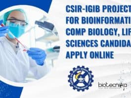 IGIB Project Jobs