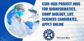 IGIB Project Jobs