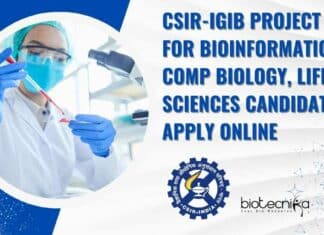 IGIB Project Jobs