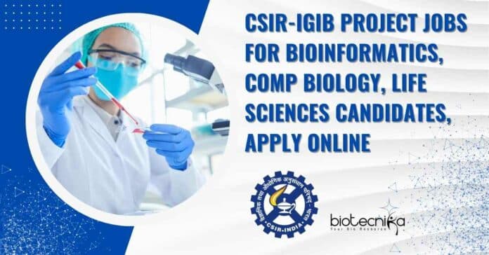IGIB Project Jobs