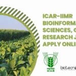 IIMR Research Jobs 2022