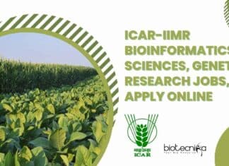 IIMR Research Jobs 2022
