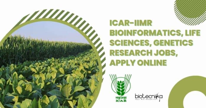 IIMR Research Jobs 2022