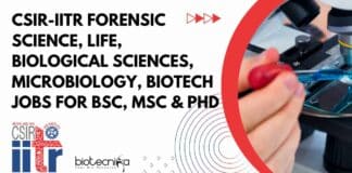 IITR Jobs For BSc Biotech