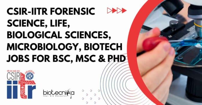 IITR Jobs For BSc Biotech