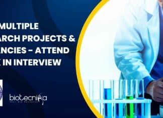 NABI Research Openings 2022