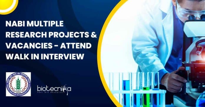 NABI Research Openings 2022