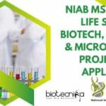 NIAB MSc, MTech Life Sciences, Biotech, Biochem & Microbiology Project Jobs, Apply Online NIAB Project Jobs 2022