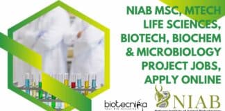 NIAB Project Jobs 2022