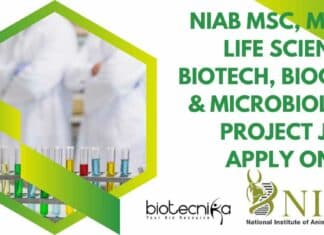 NIAB Project Jobs 2022