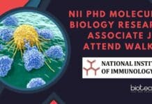 NII PhD Molecular Biology Research Associate Job, Attend Walk-In NII PhD Molecular Biology