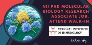 NII PhD Molecular Biology